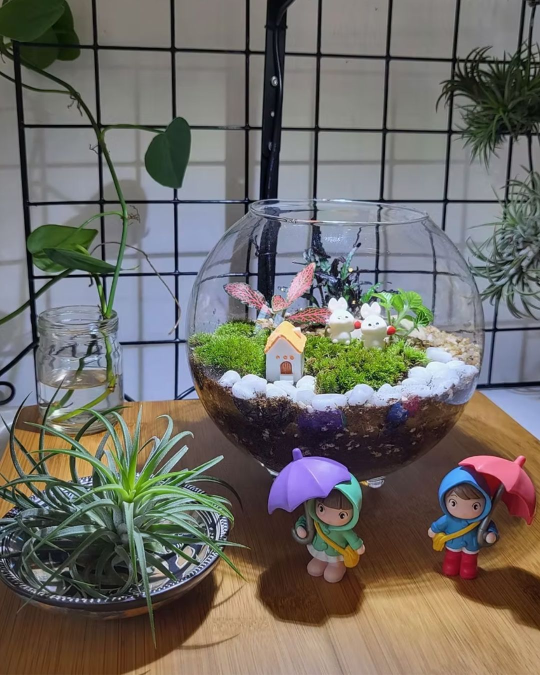 Terrarium workshop (2 hrs)