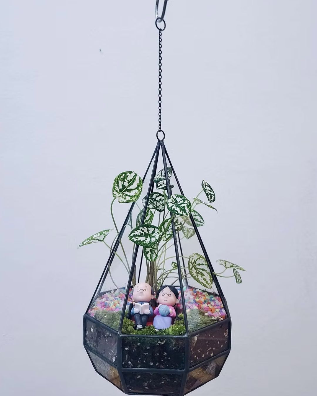Terrarium workshop (2 hrs)