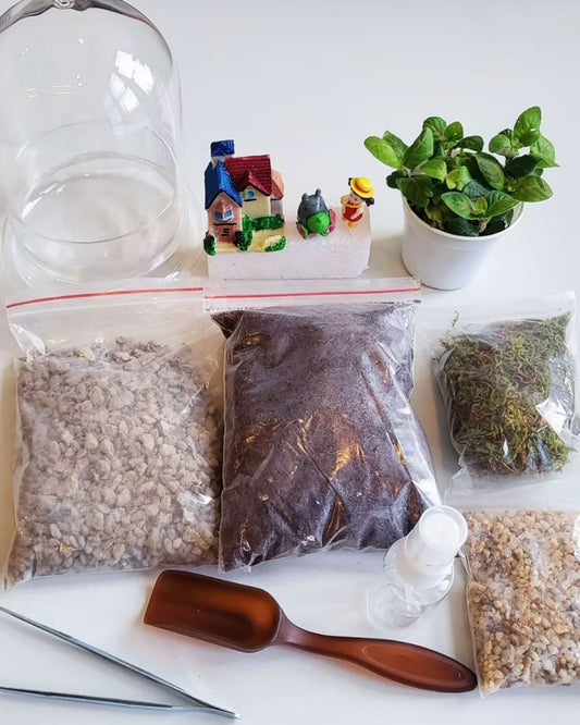 (Coming Soon!) Terrarium workshop (2 hrs)